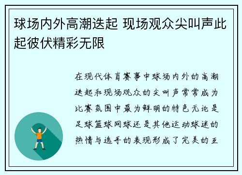 球场内外高潮迭起 现场观众尖叫声此起彼伏精彩无限