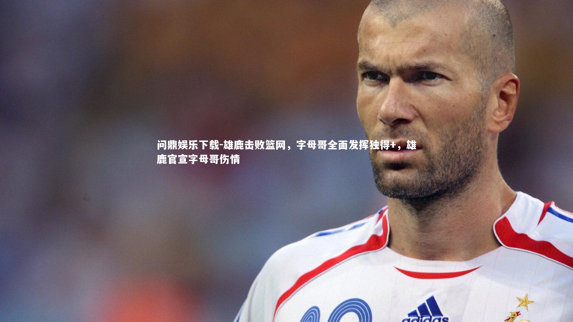 雄鹿击败篮网，字母哥全面发挥独得+，雄鹿官宣字母哥伤情